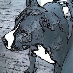Cartoon Peer