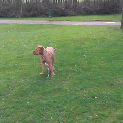 Lekker buiten wandelen