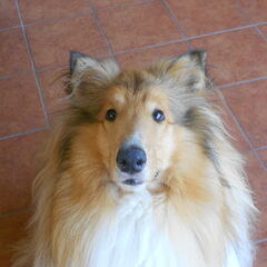 Cody 23 maart 2012