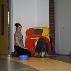 Duuk in de ballentent