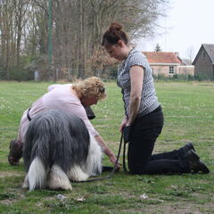 Duuk, Dewi en de juf.. Workshop Hersenwerk 24-3-2012