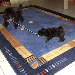 wie wint er???????