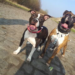 Bruno & Angel