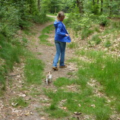 Met mams in het bos...