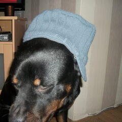 We houden de oortjes warm hoor....