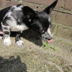Even proeven of dat lekker is :p