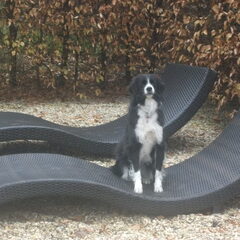 chille