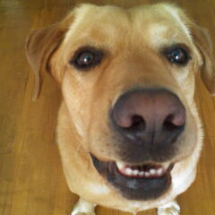 Close up :D