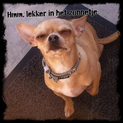 Geef je een knipoogje krijg ik dan wat lekkers!!!