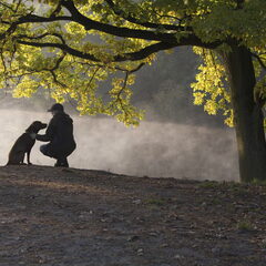 Mens en hond samen vroeg in de ochtend, genietend van de…