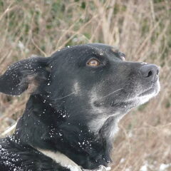 Foto van Nadia in de winter