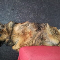 15 mnd en nog steeds slapen als een puppy...:D