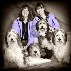 Wij zetten onze Nizinny's in als therapiehond. Meer info…