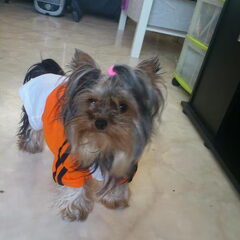Ff snel met Qday voor de foto!