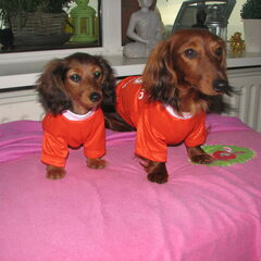 nami en yuki onze oranje supporters