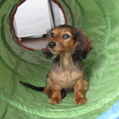 nami in de tunnel