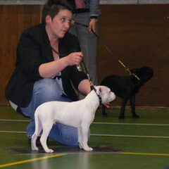 op de jonge honden dag 3E PRIJS