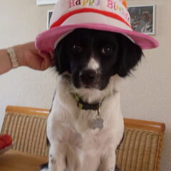 HOERA NOA 1 JAAR
