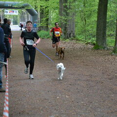 kobus op de canicross breda