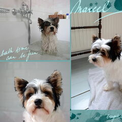 Bath time can be fun!