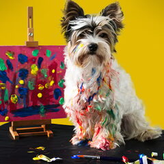 Marcel the Artist
