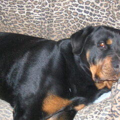 Na een wandeling aan het strand wil ik graag even chillen