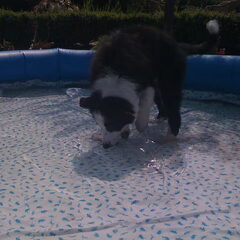 1e keer in het water