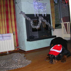 met kerst mee naar Centerparcs...wat een lol