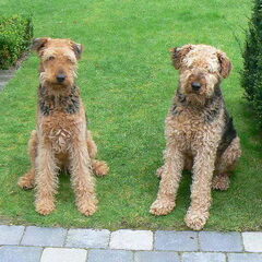 Sarah links broer Gijs rechts