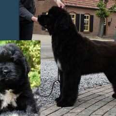 nero kleine foto was die nog een heel klein knuffelbeertje…