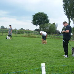 Op de puppy cursus