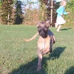 ScHATTIG!!