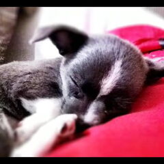 onze jongste is moe :-)