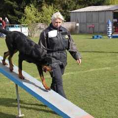 Fyotta tijdens de Agility.