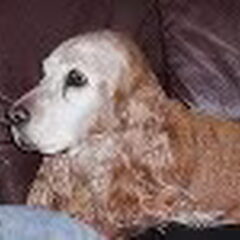 Amber is geboren op 12 januari 1995 in Hardenberg, ze had 5…