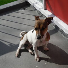 Jaimy