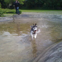 Daco lekker in het water spelen