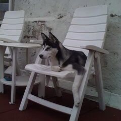 Lekker relaxten op het balkon