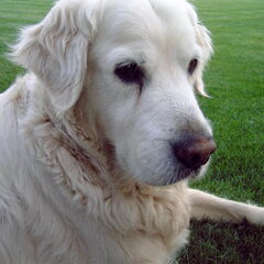 Mijn lieverd for ever!!
