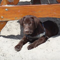 30-06-2012 naar strand Erkemedestrand. Lekker zwemmen met…