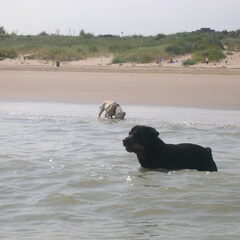lekker hoor als het warm is