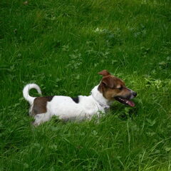 Jaimy in het park