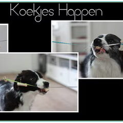 Koekjes happen
