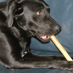 Bram