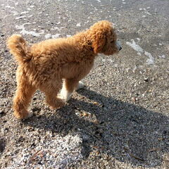 op het strand