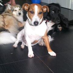 Fleur met haar vriendjes