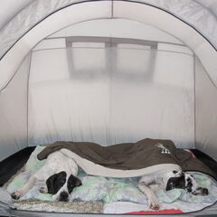 In de tent...