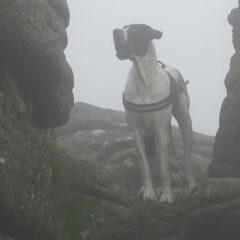 Zusje op Widgery cross...