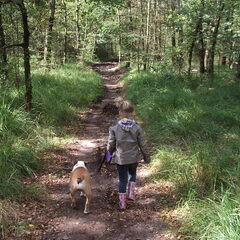 wandelen in het bos met mijn vriendin