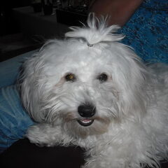 oooooh wat een lieffie